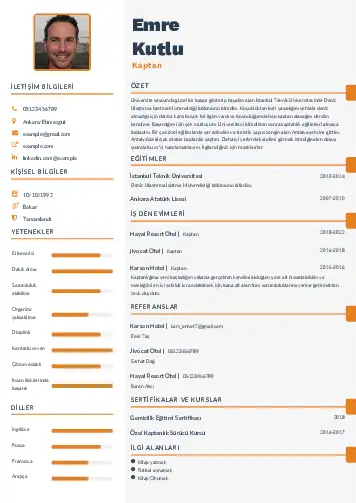 cv indir